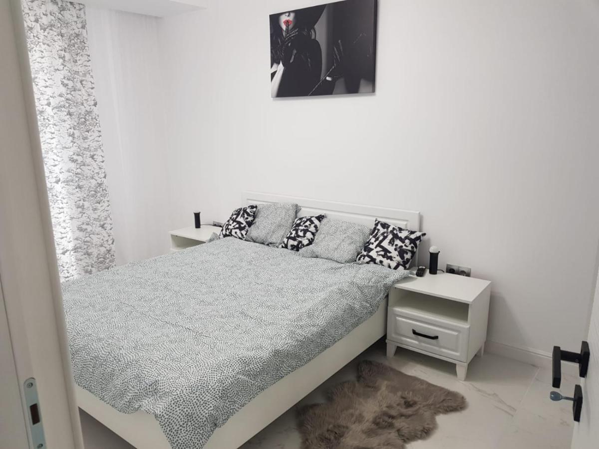 New Transilvania Apartment Cluj-Napoca Eksteriør billede